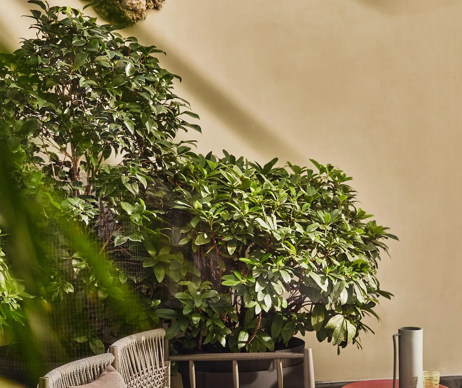 Flexform Lee outdoor sofa in a garden setting, frame 1